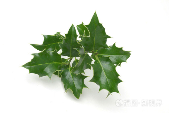 亚洲欧美综合区自拍另类,国产成人午夜免费观看,国产又粗又硬又长