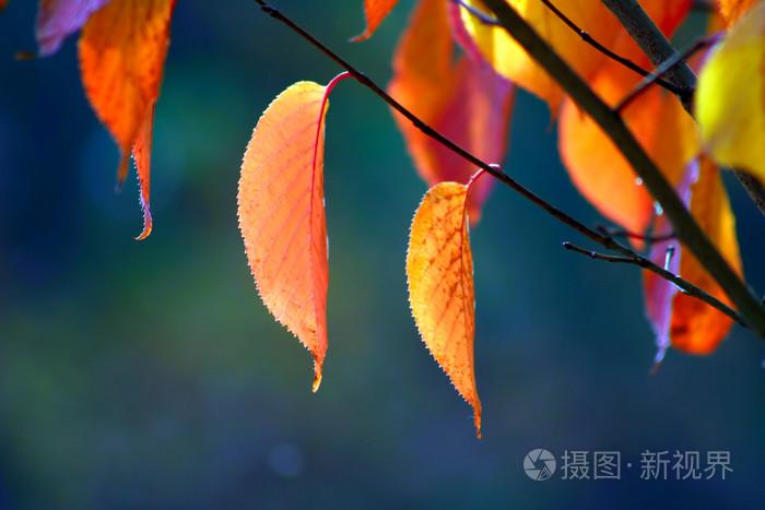 亚洲日韩一区二区三区四区高清,一本加勒比hezyo无码人妻,夜色福利久久久久久777777