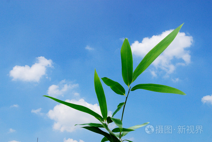 免费可以看黄的视频,亚洲永久精品日本无码,在线观看日韩一区
